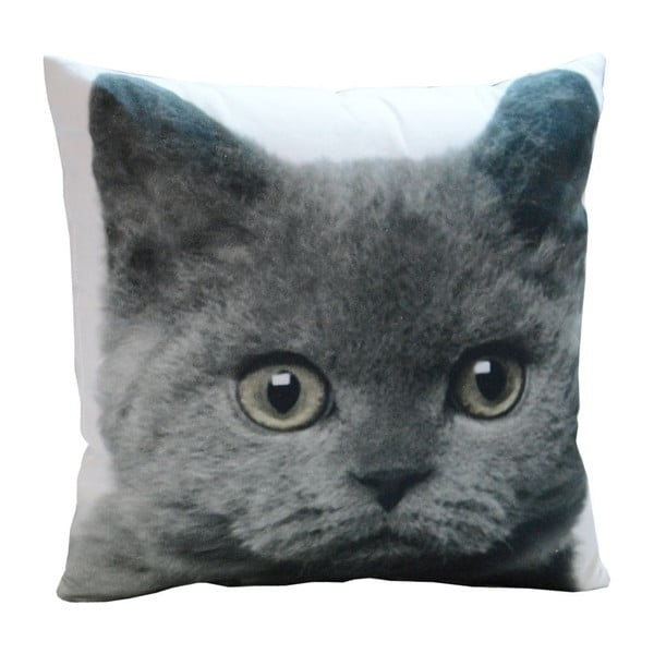 Poduszka Grey Cat, 45x45 cm