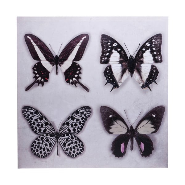 Obraz Ewax Black Butterflies, 60x60 cm