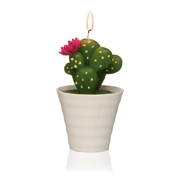 Świeczka dekoracyjna w kształcie kaktusa Versa Cactus Paol