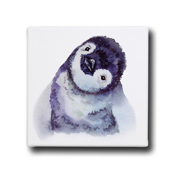 Obraz Mr. Little Fox Baby Penguin