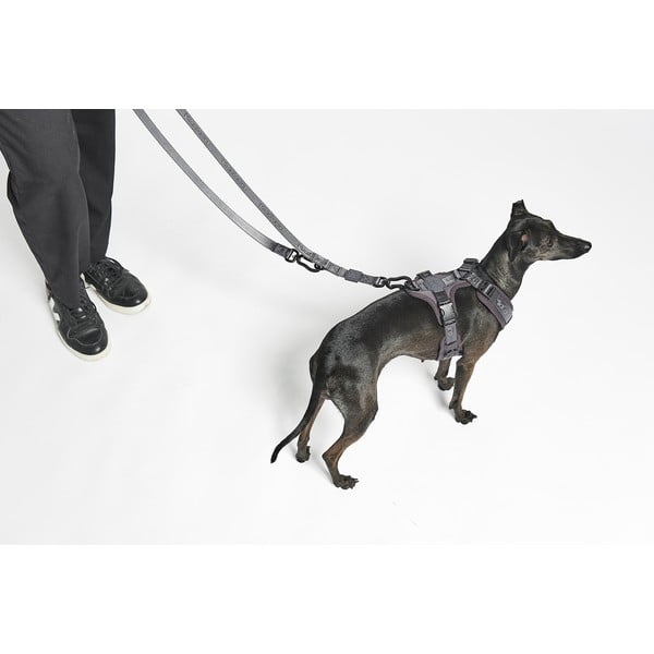 Beżowa smycz przepinana długość 200 cm Modena Greige 20 mm – MiaCara-image-1