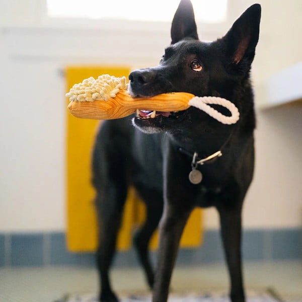 Zabawka dla psa Szczotka – P.L.A.Y.-image-1