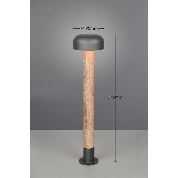Lampa zewnętrzna typu słupek ø 19 cm Fraser – Trio-image-3