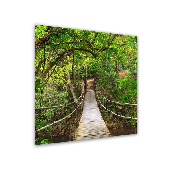 Obraz Styler Glas Nature Forest, 30x30 cm-image-1