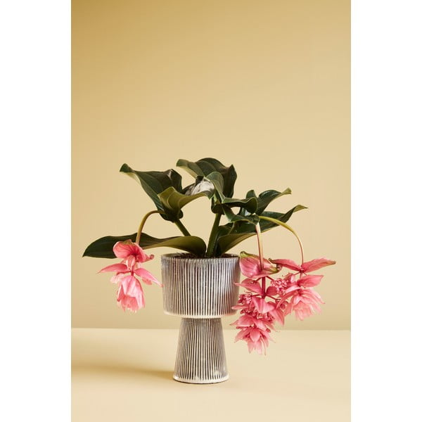 Zestaw 2 czarno-beżowych ceramicznych doniczek Hübsch Pot-image-4