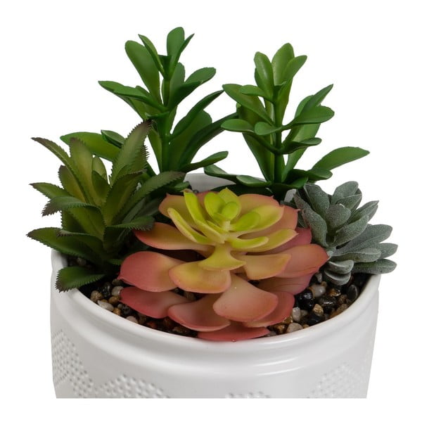 Sztuczne rośliny zestaw 2 szt. (wysokość 19 cm) Cactus – Casa Selección-image-3