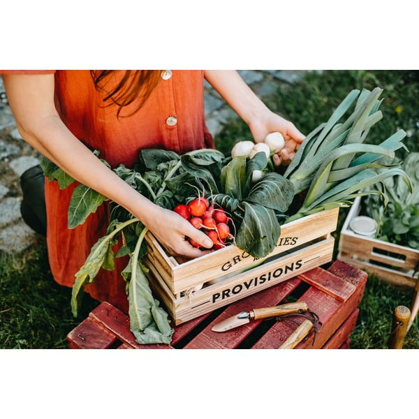 Zestaw szpadelka i widełek z drewna jesionowego Esschert Design Equal-image-2