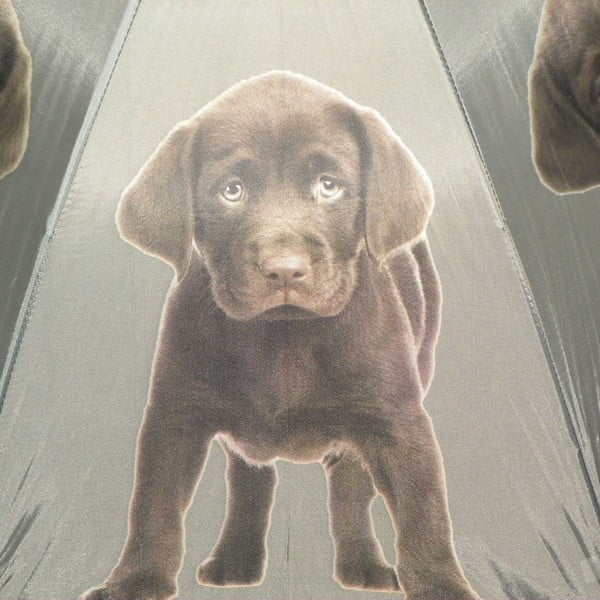 Parasol Mars&More Labrador Chocolate-image-2