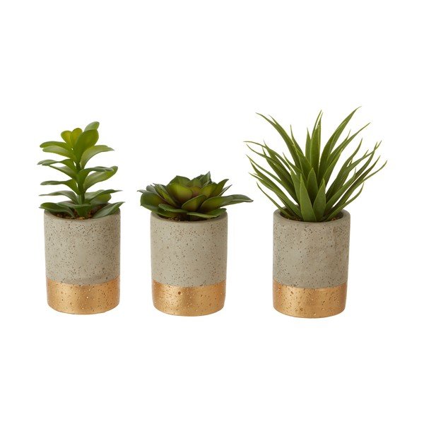 Zestaw 3 sukulentów w ceramicznej doniczce Premier Housewares Fiori-image-1
