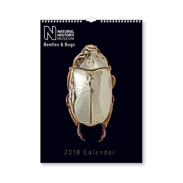 Kalendarz wiszący 2018 Portico Designs Natural History Museum Beetles & Bugs, A3