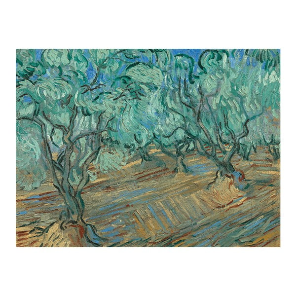 Reprodukcja obrazu Vincenta van Gogha - Olive Grove, 80x50 cm