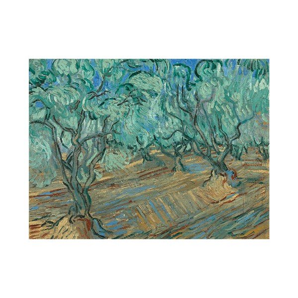 Reprodukcja obrazu Vincenta van Gogha - Olive Grove, 50x30 cm