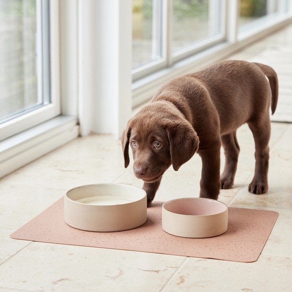 Miska dla psów ceramiczna ø 13 cm Sia – OYOY Living Design-image-1