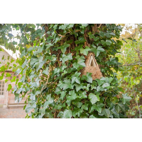 Drewniana budka dla ptaków Camouflage – Esschert Design-image-1