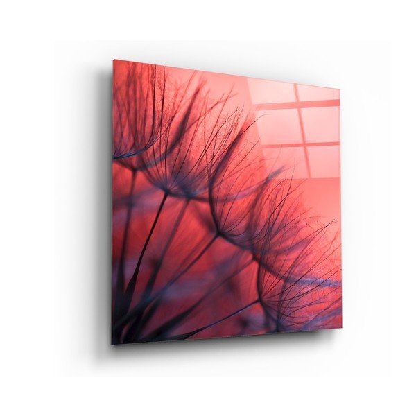 Szklany obraz Insigne Red Dandelion, 40x40 cm