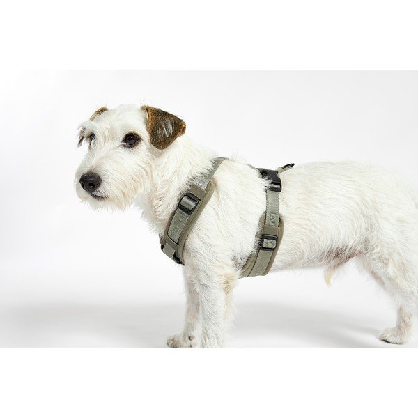 Zielone szelki dla zwierząt w rozmiarze L długość 42 cm Modena Grolive L – MiaCara-image-3