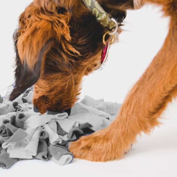 Mata węchowa – Love Story-image-1