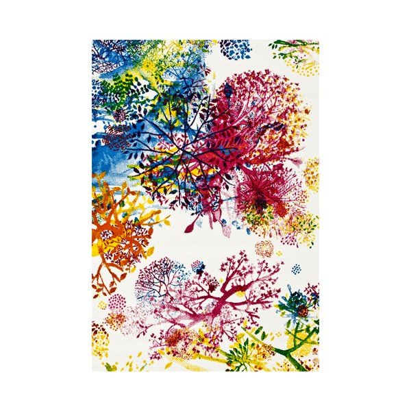 Dywan Universal Tikey Anemone, 120x170 cm