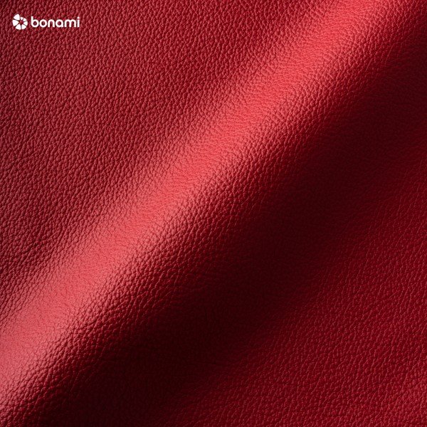 Czerwona sofa skórzana Scandic Twigo, 227 cm-image-1