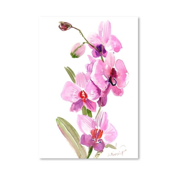 Plakat Pink Orchids (projekt Suren Nersisyan)