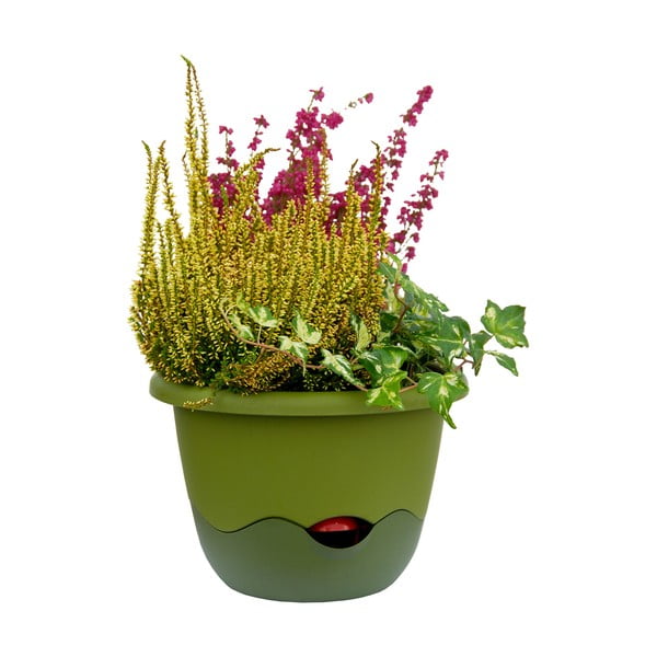 Zielona doniczka z systemem nawadniania do zawieszenia Plastia Mareta, dł. 25 cm-image-2