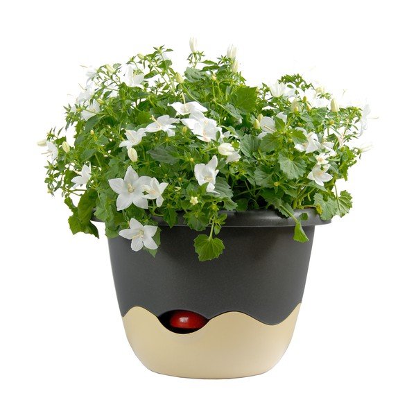 Niebiesko-biała doniczka z systemem nawadniania do zawieszenia Plastia Mareta, dł. 30 cm-image-3
