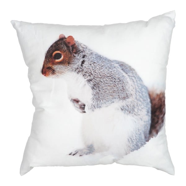 Poduszka Squirrel White, 45x45 cm