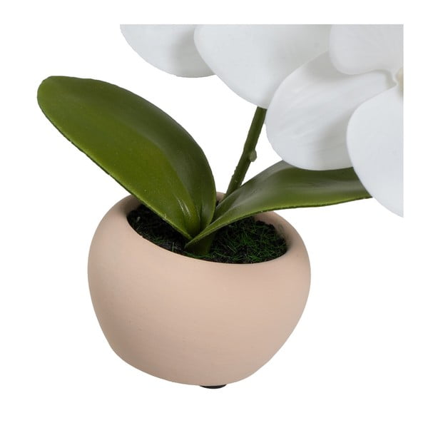 Sztuczne rośliny zestaw 3 szt. (wysokość 15 cm) Orchid – Casa Selección-image-4