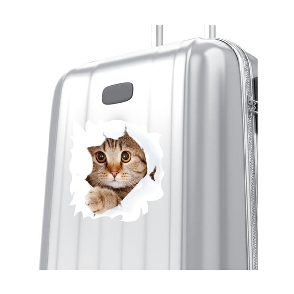 Naklejka Cat Wall-image-1
