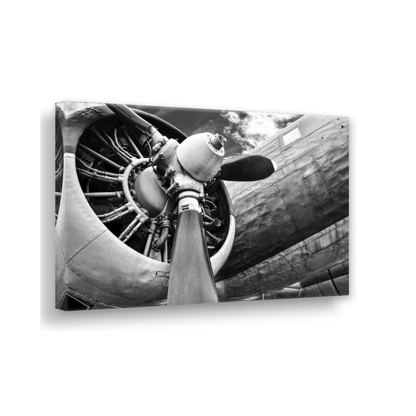 Obraz Styler Canvas Silver Uno Plane, 85x113 cm-image-2