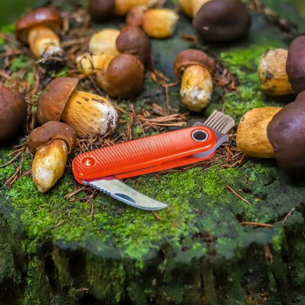 Nóż kieszonkowy Move – Tescoma-image-1