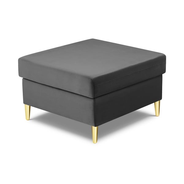 Jasnoszary aksamitny podnóżek Kyoto – Cosmopolitan Design-image-2