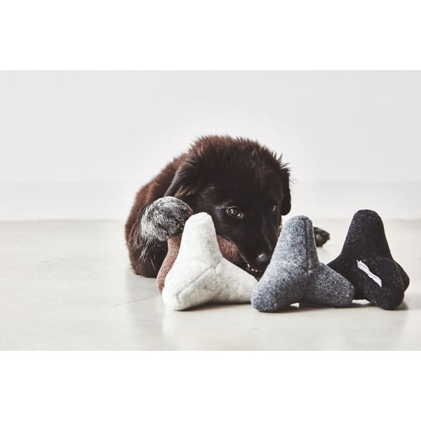 Zabawka dla psa Quattro Dusty Green S/M – MiaCara-image-2