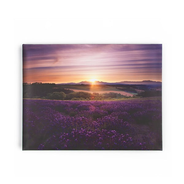 Obraz Graham & Brown Lavendar Sunset, 80x60 cm