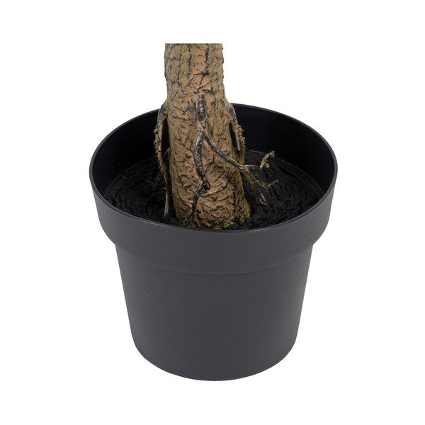 Sztuczny eukaliptus (wysokość 173 cm) Eucalyptus – Ixia-image-4