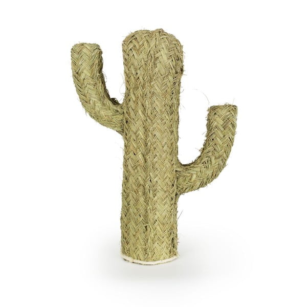 Kaktus dekoracyjny Surdic Cactus Esparto