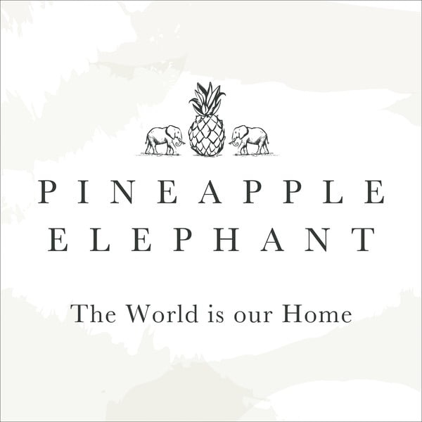 Poszewki na poduszki zestaw 2 szt. 50x75 cm Tamba Stripe – Pineapple Elephant-image-3