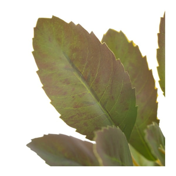 Sztuczna gałązka (wysokość 37 cm) Lemon Tree – Ixia-image-2