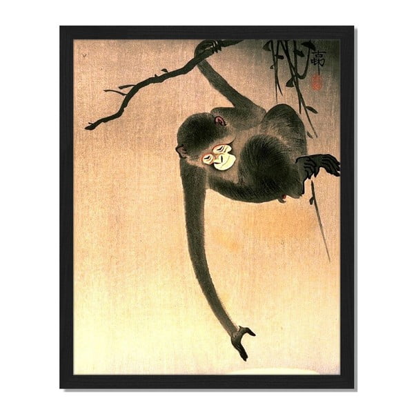 Obraz w ramie Liv Corday Asian Tree Monkey, 40x50 cm