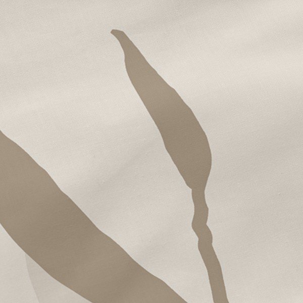 Bawełniane poszewki na poduszki zestaw 2 szt. 50x75 cm Maple – Blanc-image-1