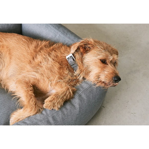 Brązowe legowisko dla psów 55x70 cm Mare Kelp S – MiaCara-image-3