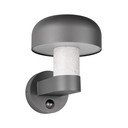 Zewnętrzna lampa ścienna (wysokość 24,5 cm) Fraser – Trio