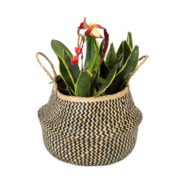 Koszyk z trawy morskiej Compactor Zic Zac, ⌀ 35 cm-image-1