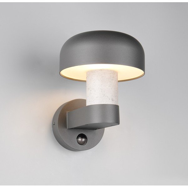 Zewnętrzna lampa ścienna (wysokość 24,5 cm) Fraser – Trio-image-1