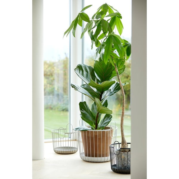 Metalowy druciany koszyk Inu − Zone-image-2