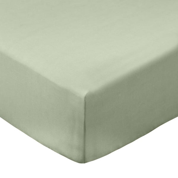 Zielone prześcieradło z perkalu bawełnianego z gumką 90x190 cm Cotton Percale – Bianca