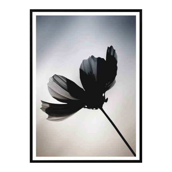 Plakat Nord & Co Flower, 40x50 cm