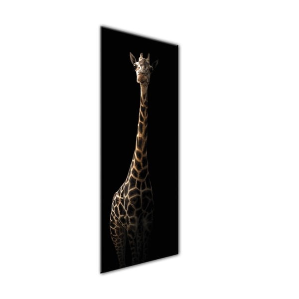 Obraz Styler Glas Animals Gira, 50x125 cm-image-1