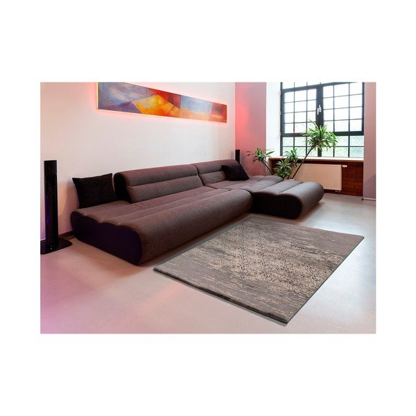 Dywan Universal Danna , 120 x 170 cm-image-2