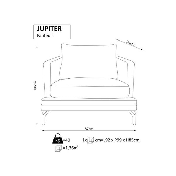 Beżowy fotel Windsor  & Co. Sofas Jupiter-image-1